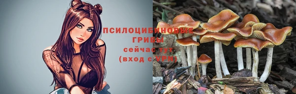 соль курить ск Алексеевка