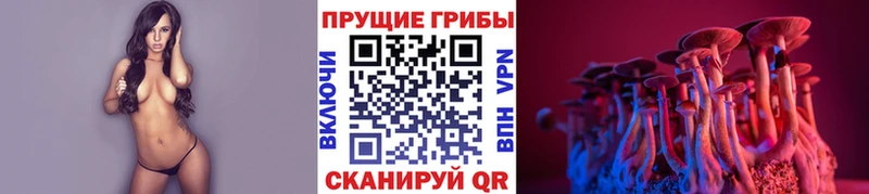 Галлюциногенные грибы мицелий  Североуральск 